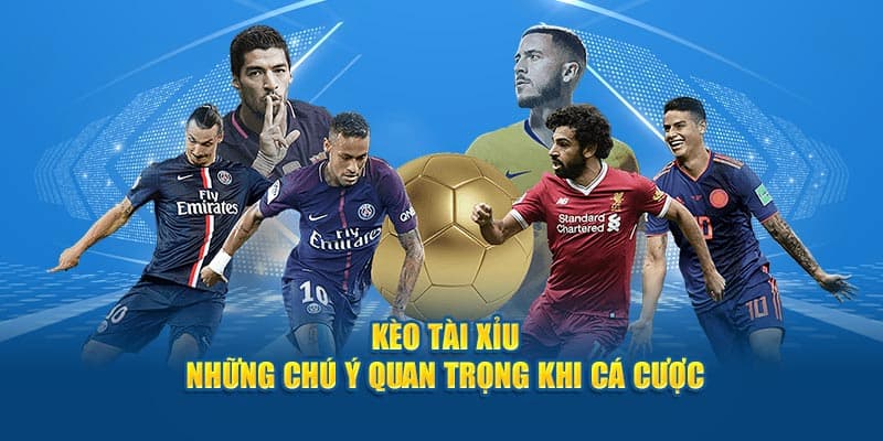 Chiến lược cược nâng cao dành cho người chơi giàu kinh nghiệm