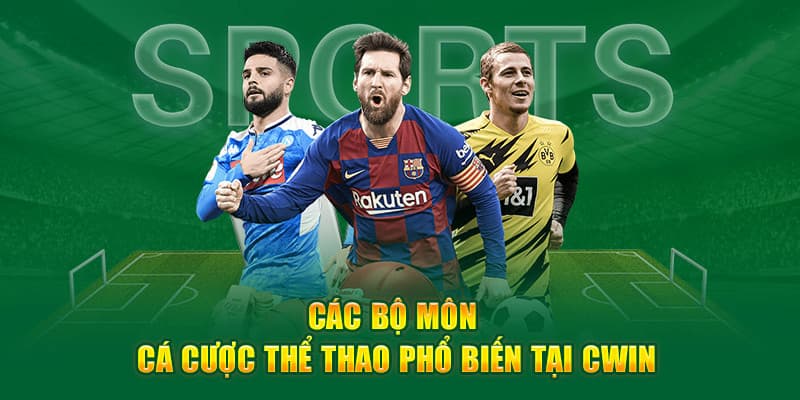 Chiến thuật cá độ bóng đá trên Cwin giúp tăng tỷ lệ thắng