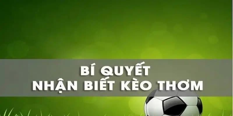 Công cụ và website hỗ trợ soi kèo thơm chính xác
