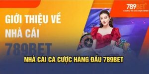 Đánh giá tổng quan về 789bet