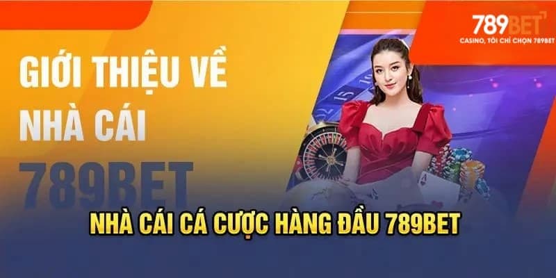 Đánh giá tổng quan về 789bet