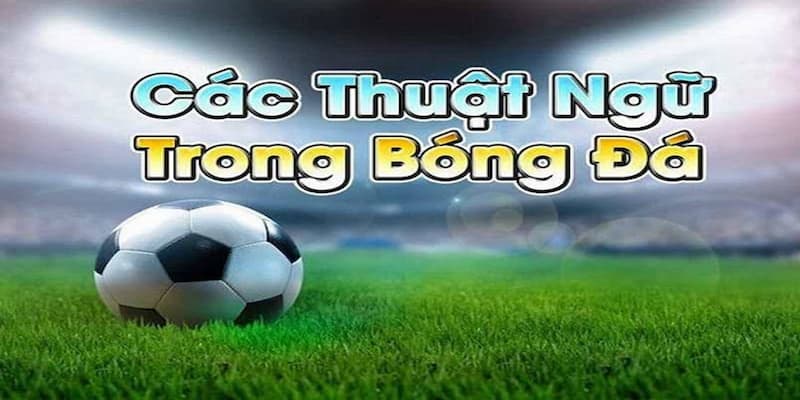Một số thuật ngữ phổ biến trong cá độ bóng đá tại 789p