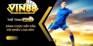 Tại sao chọn Vin88 để cá độ bóng đá