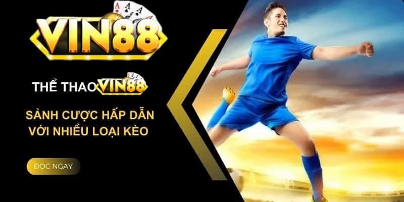 Tại sao chọn Vin88 để cá độ bóng đá
