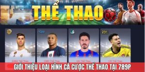 Tại sao nên lựa chọn 789p cho cá độ bóng đá