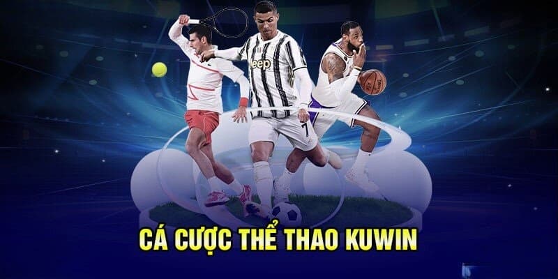 Tìm hiểu tổng quan về Kuwin trong cá độ bóng đá