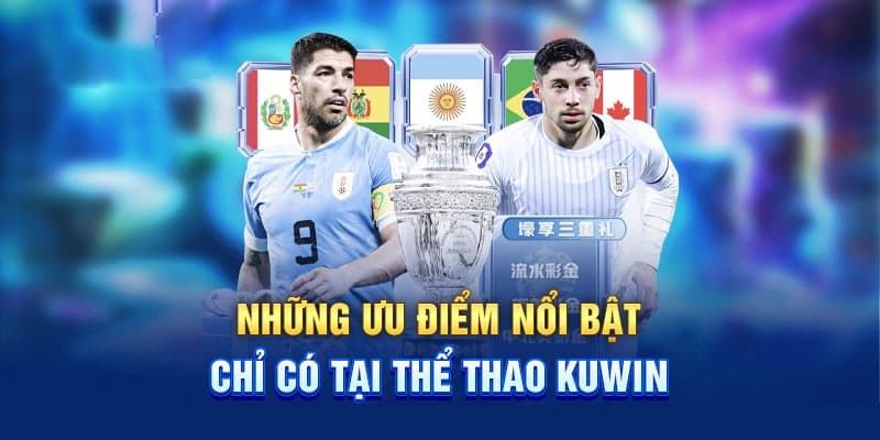 Tương lai và những cải tiến của Kuwin
