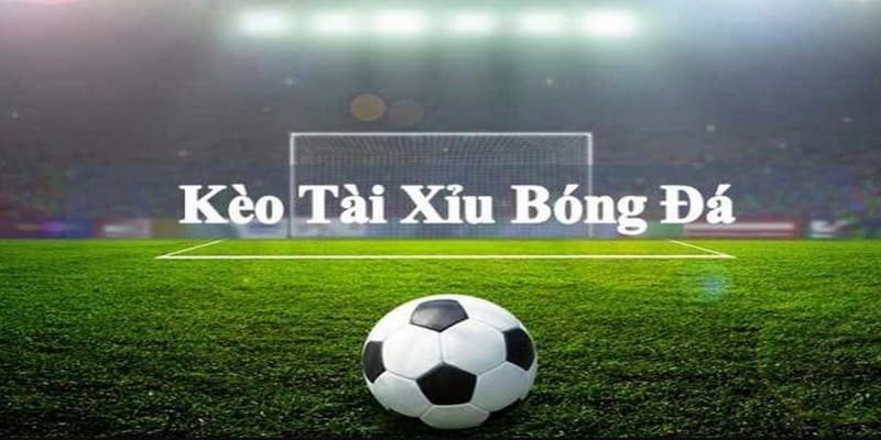 Xu hướng kèo tài xỉu trong cá độ bóng đá năm 2025